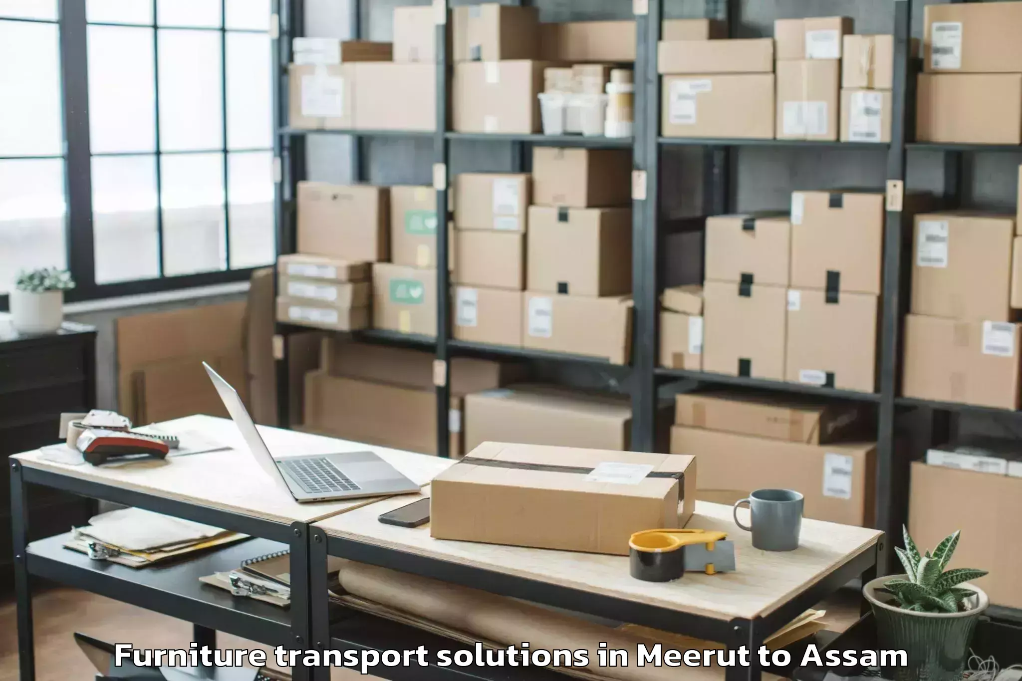 Affordable Meerut to Silapathar Furniture Transport Solutions